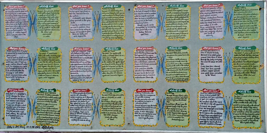 image_2024-12-13_001653808